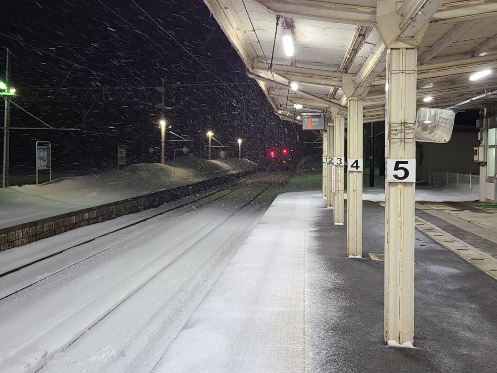 雪のJR鷹ノ巣駅