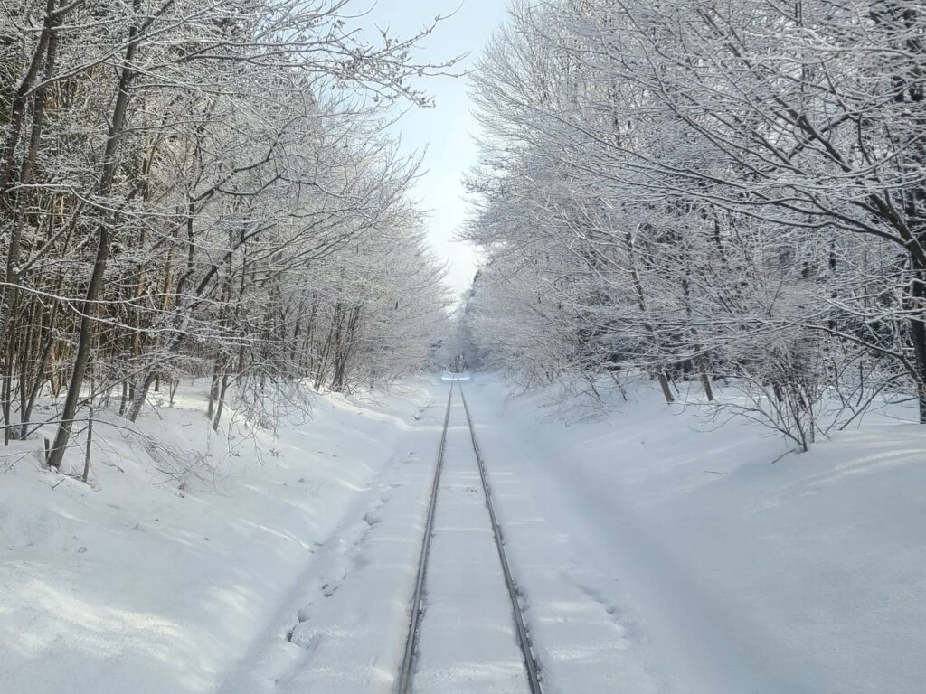 秋田内陸線の雪景色