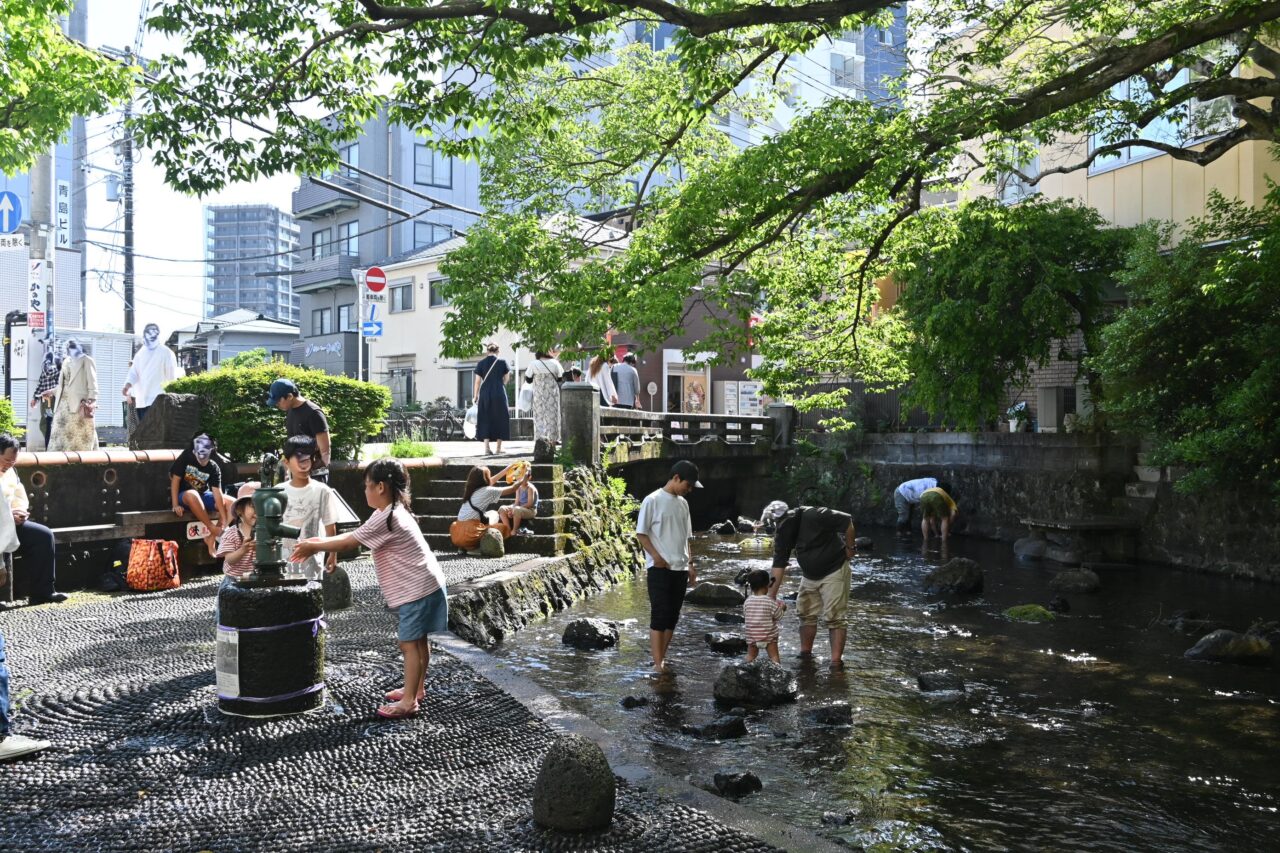 三島市の源兵衛川親水公園