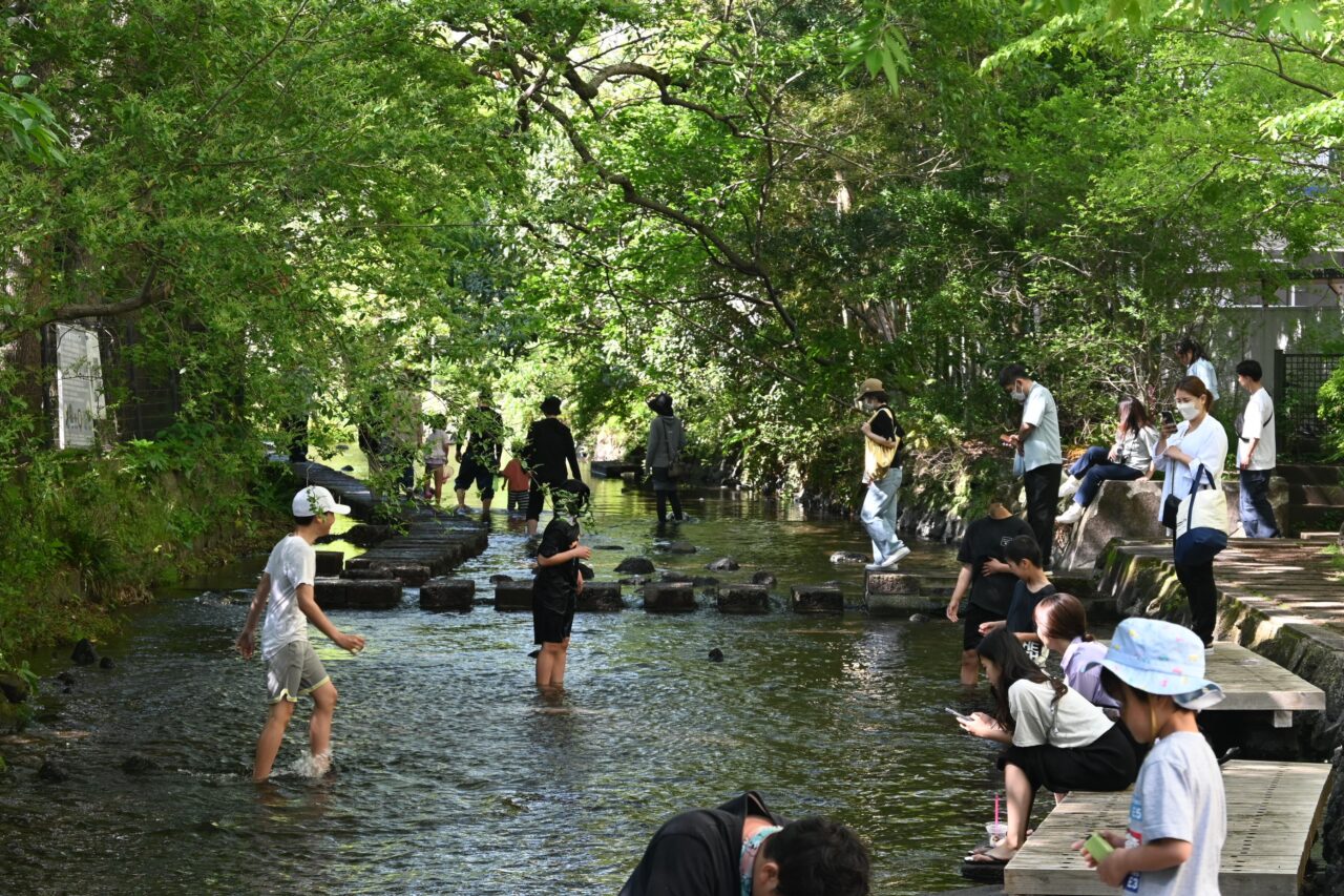 源兵衛川親水公園